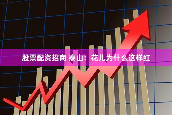 股票配资招商 泰山：花儿为什么这样红